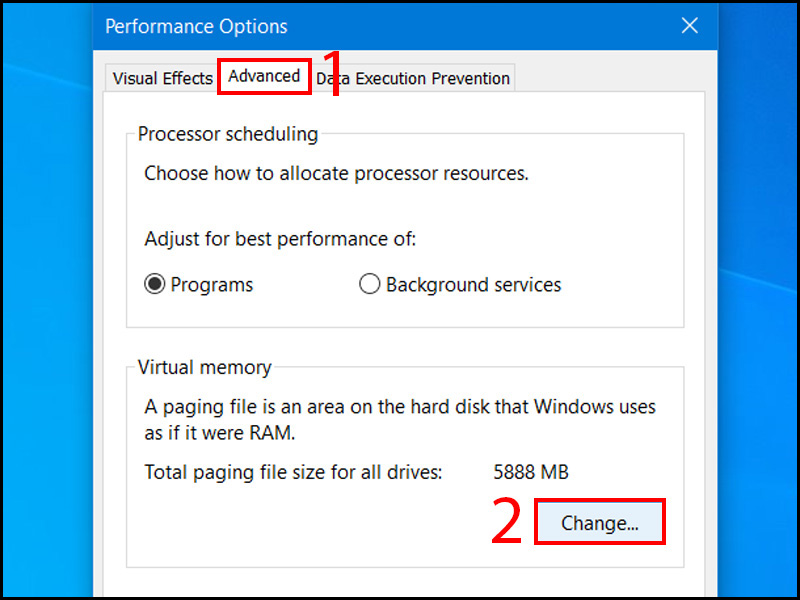 Cửa sổ Performance Options